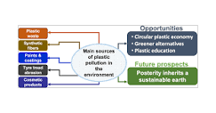 Plastic Pollution: A Perspective on Matters Arising: Challenges ...