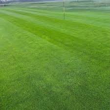 Image result for Carmarthen Golf Club