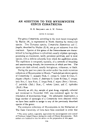 Attēlu rezultāti vaicājumam “Comatricha fragilis spores”