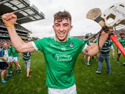 Image result for University Of Limerick Gaa Hurling Club
