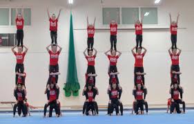 Image result for North Devon Display Gymnastics Club