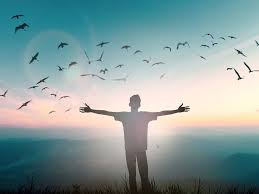 Image result for FOTO DE PAZ