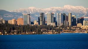 Image result for Bellevue