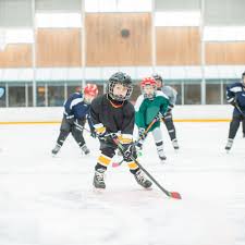 Image result for Pontypool Skater Hockey Club