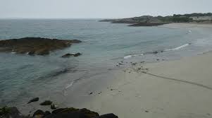 Image result for Derrynane