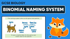 Image result for genus