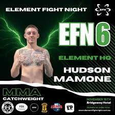 Image result for Full Element Mixed Martial Arts