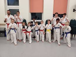 Image result for British Karate Shunen Jutsu