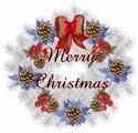 Marry Christmas To You!