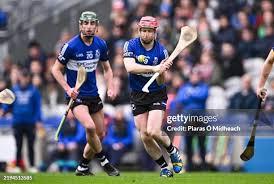 Image result for Sarsfields Hurling Club