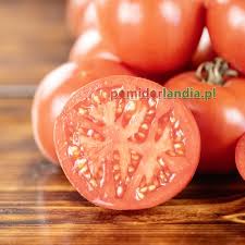 Afbeeldingsresultaat voor grubbs mystery green tomato