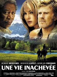  An Unfinished Life ...