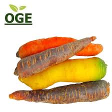 Image result for Möhren