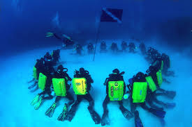 Image result for innerspace divers