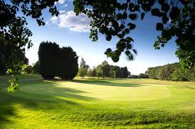 Image result for Surbiton Golf Club
