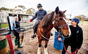 Image result for Buchan Group Riding For The Disabled