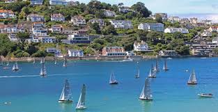 Image result for Salcombe Yacht Club