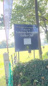 Image result for Yelverton Bohemians Cricket Club