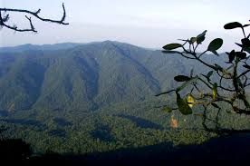 Výsledek obrázku pro yungas