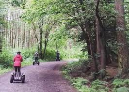 Image result for The Go Ape Experience (Delamere Forest)