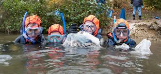 Image result for St. Albans Snorkelling Club (SASC)