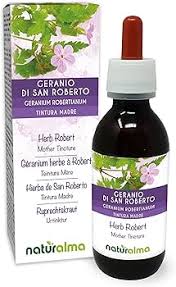 Image result for Storchschnäbel