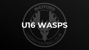 Image result for Wasps Football Club