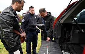 Image result for Seesac