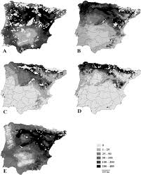 Attēlu rezultāti vaicājumam “Euphydrias aurinia upperside”
