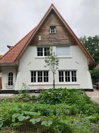 Image result for kaleien