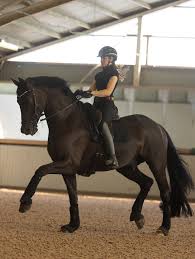 Image result for Interfreestyle Sport Karate