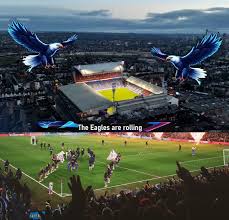 Image result for Palace Eagles Octopush Club