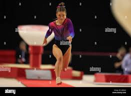 Image result for Thornton Sport Gymnastics