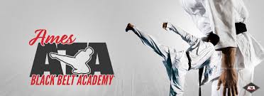 Image result for ATA Martial Arts Mobile