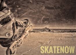 Image result for Citiskate