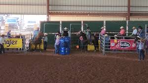 Image result for Shey Copse Riding Centre