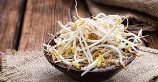 Image result for bean sprout