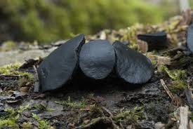 Attēlu rezultāti vaicājumam “Bulgaria inquinans”