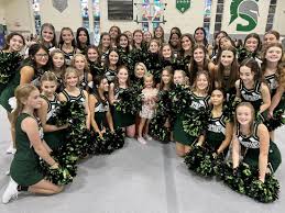 Image result for St Rita`s Camogie Club