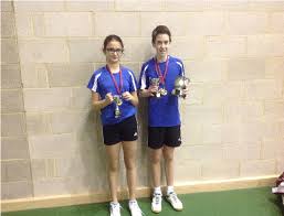 Image result for Elmbridge Eagles Junior Badminton Club