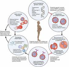 Attēlu rezultāti vaicājumam “Physarum virescens plasmodium”