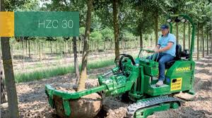 Image result for dipperfox tehron