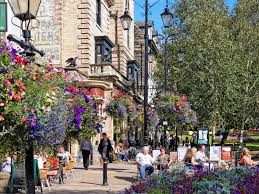 Image result for Harrogate