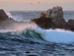 waves ocean dusk (asilomar - via Daymix