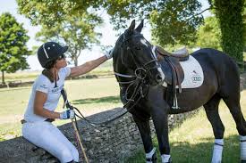 Image result for Inglesham Polo Centre