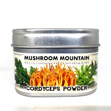 Attēlu rezultāti vaicājumam “Cordyceps”