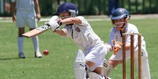 Image result for Worksop Cricket & Sports Club