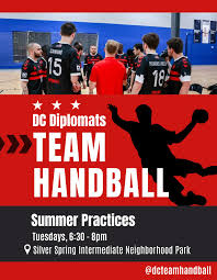 Image result for Deva Handball Club