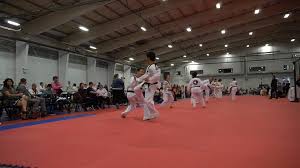 Image result for Invertay Taekwondo Club