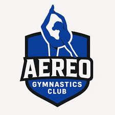 Image result for Aerodyne Gymnastics Club